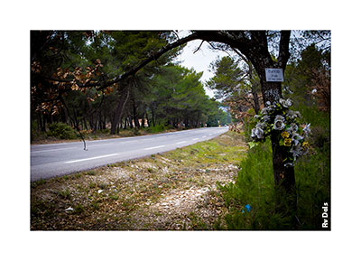 Série photographique Les Bouquets.