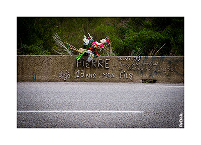 Bouquet sur un mur.