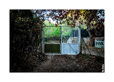 Le portail du jardin.