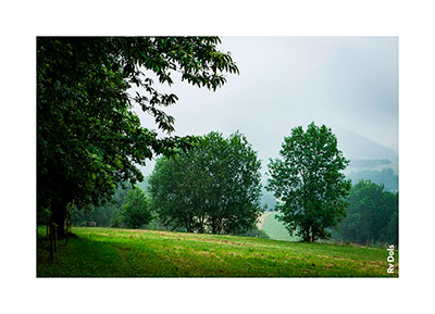 Champ de la ferme.