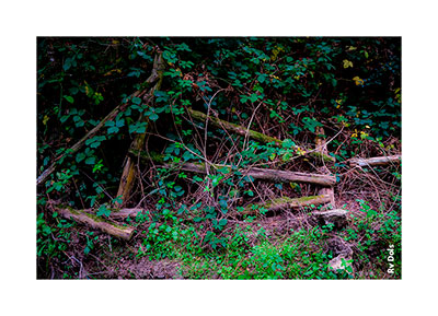 Cloture cassé.
