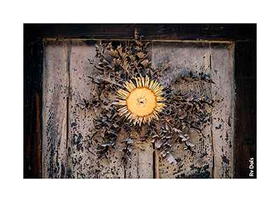 La fleur sur la porte.